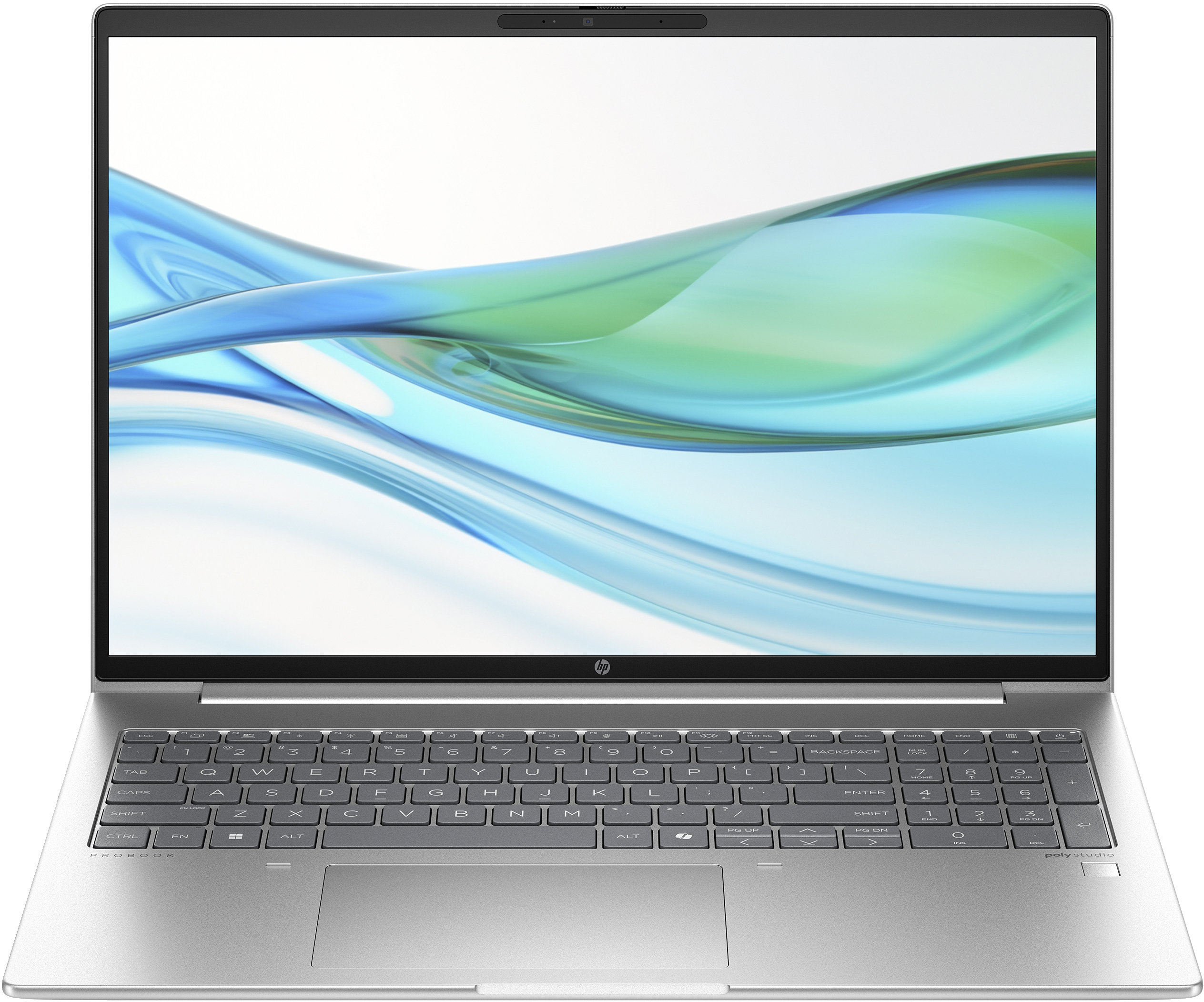HP ProBook 460 G11 Laptop (A23A1EA)